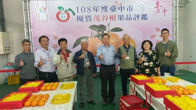 中市茂谷柑評鑑　林明珠獲茂谷柑王